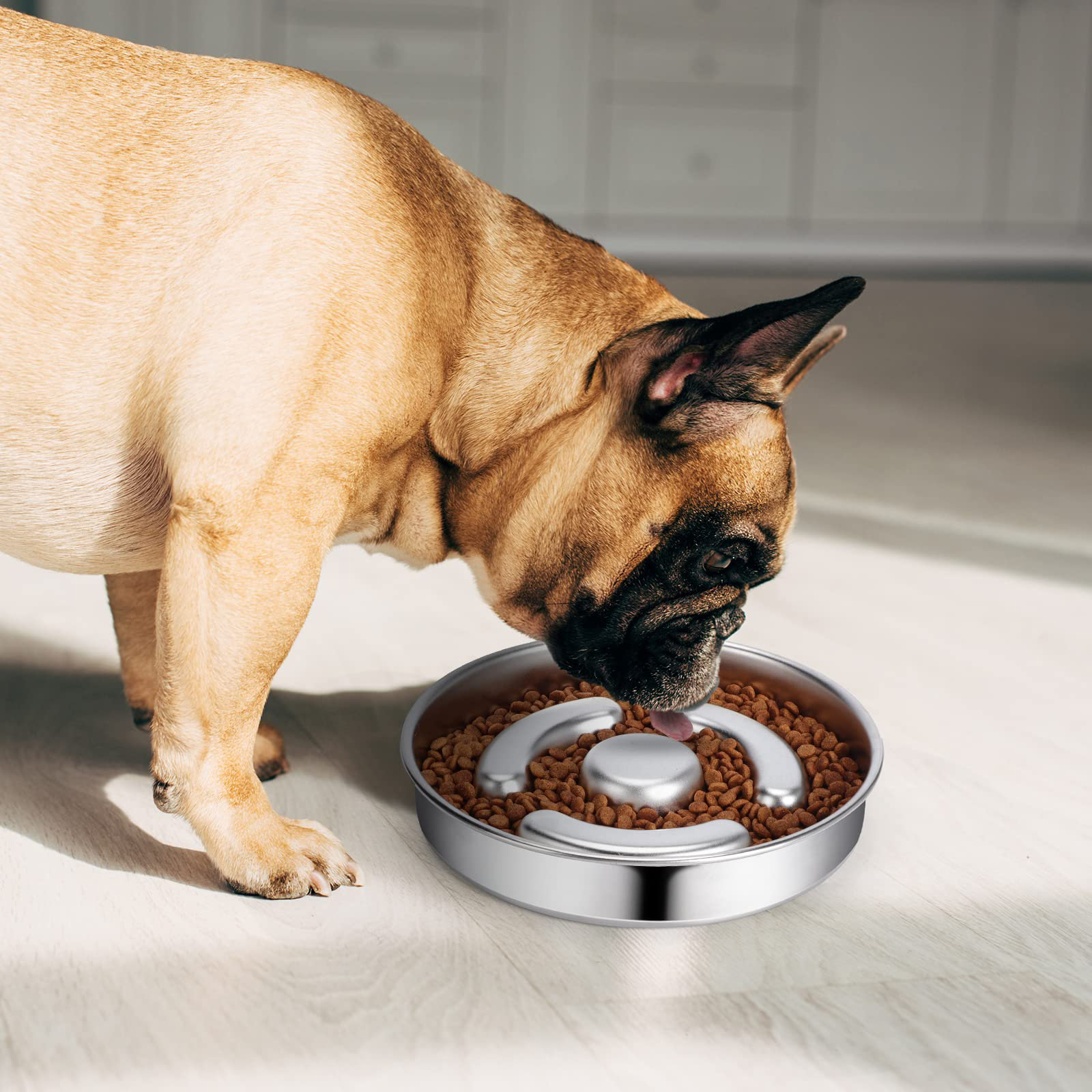 Pet food bowls for fast eaters outlet